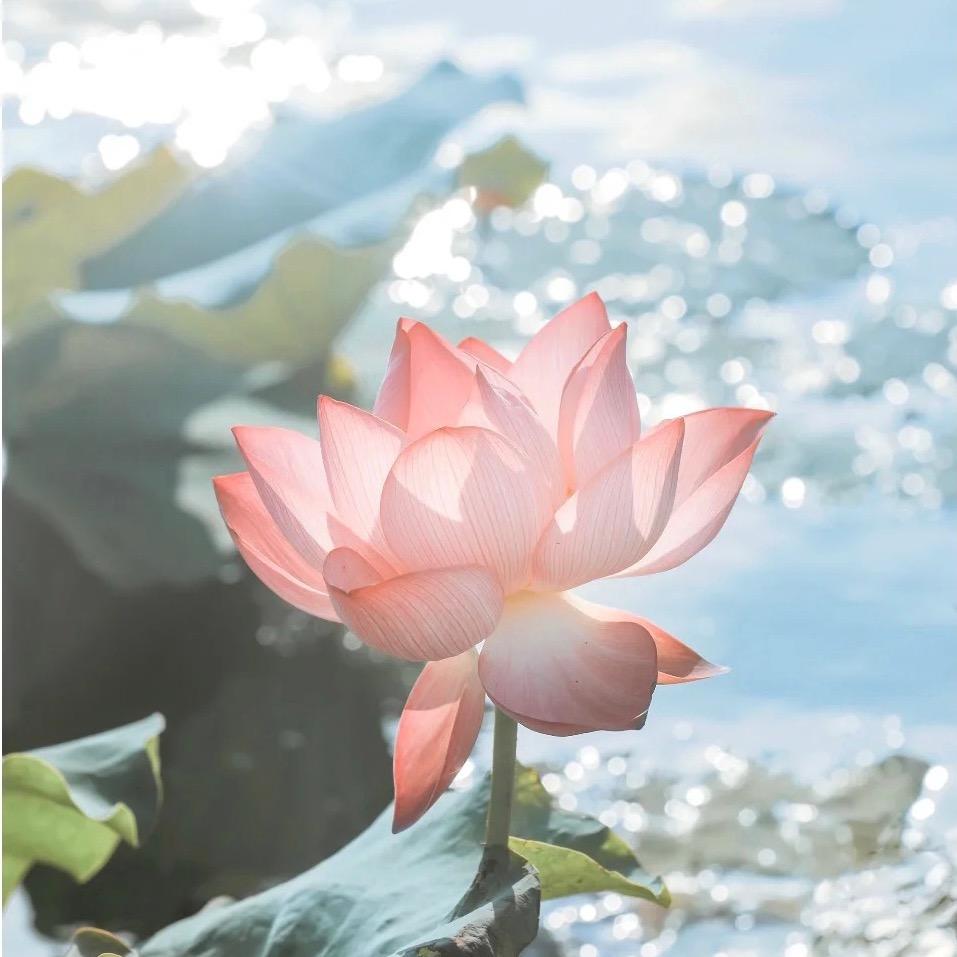 氵                  .