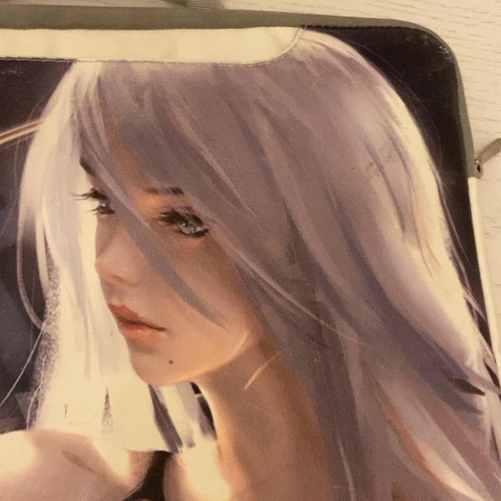 红树林
