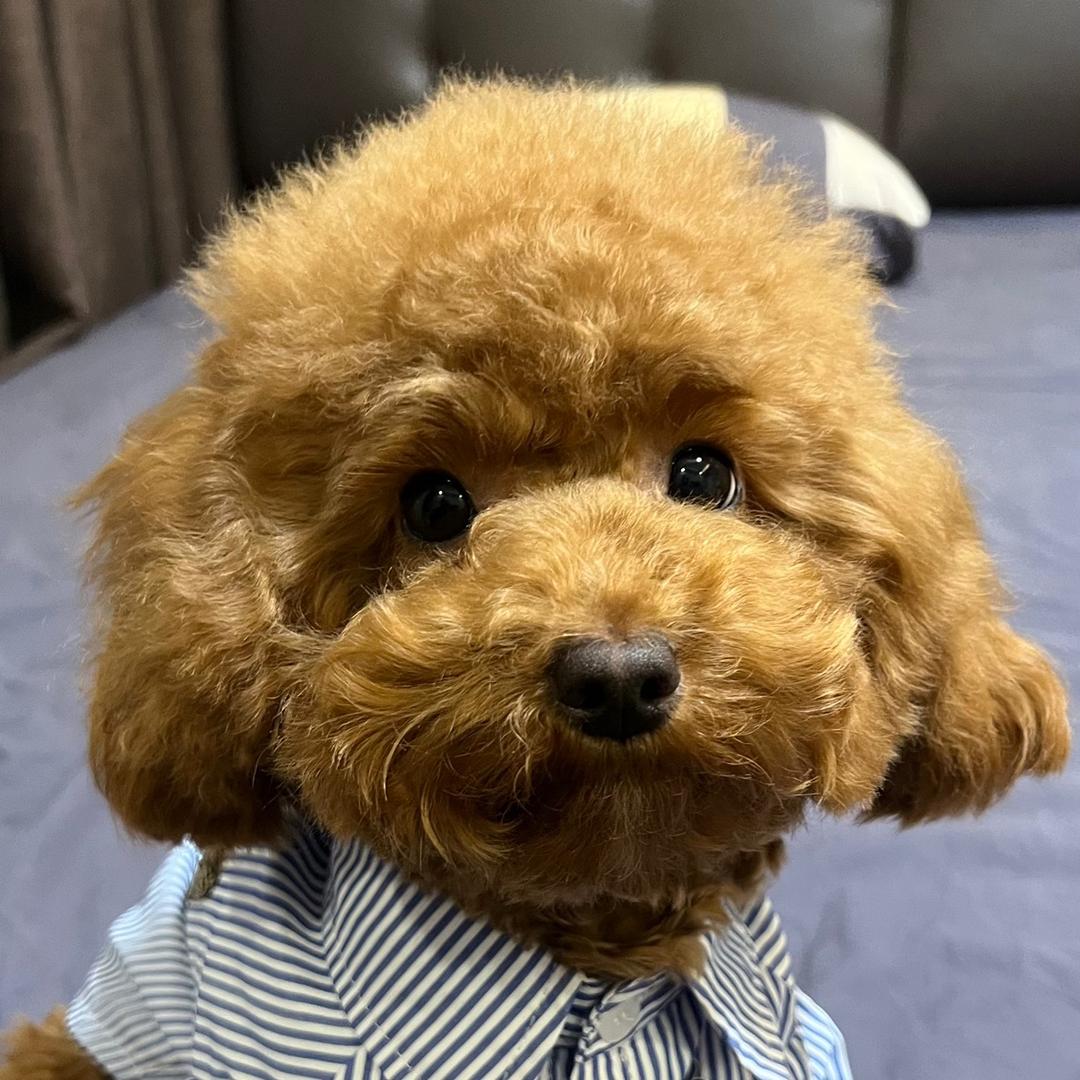 三鲜不是汤