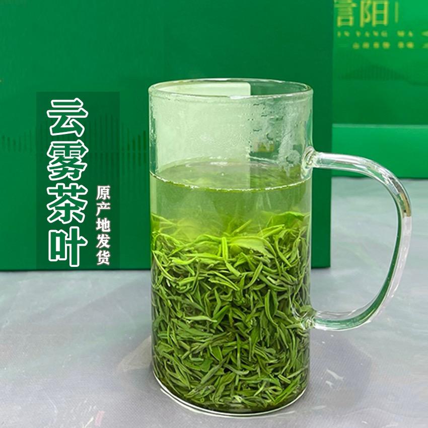 云雾茶叶·信阳毛尖（批发）
