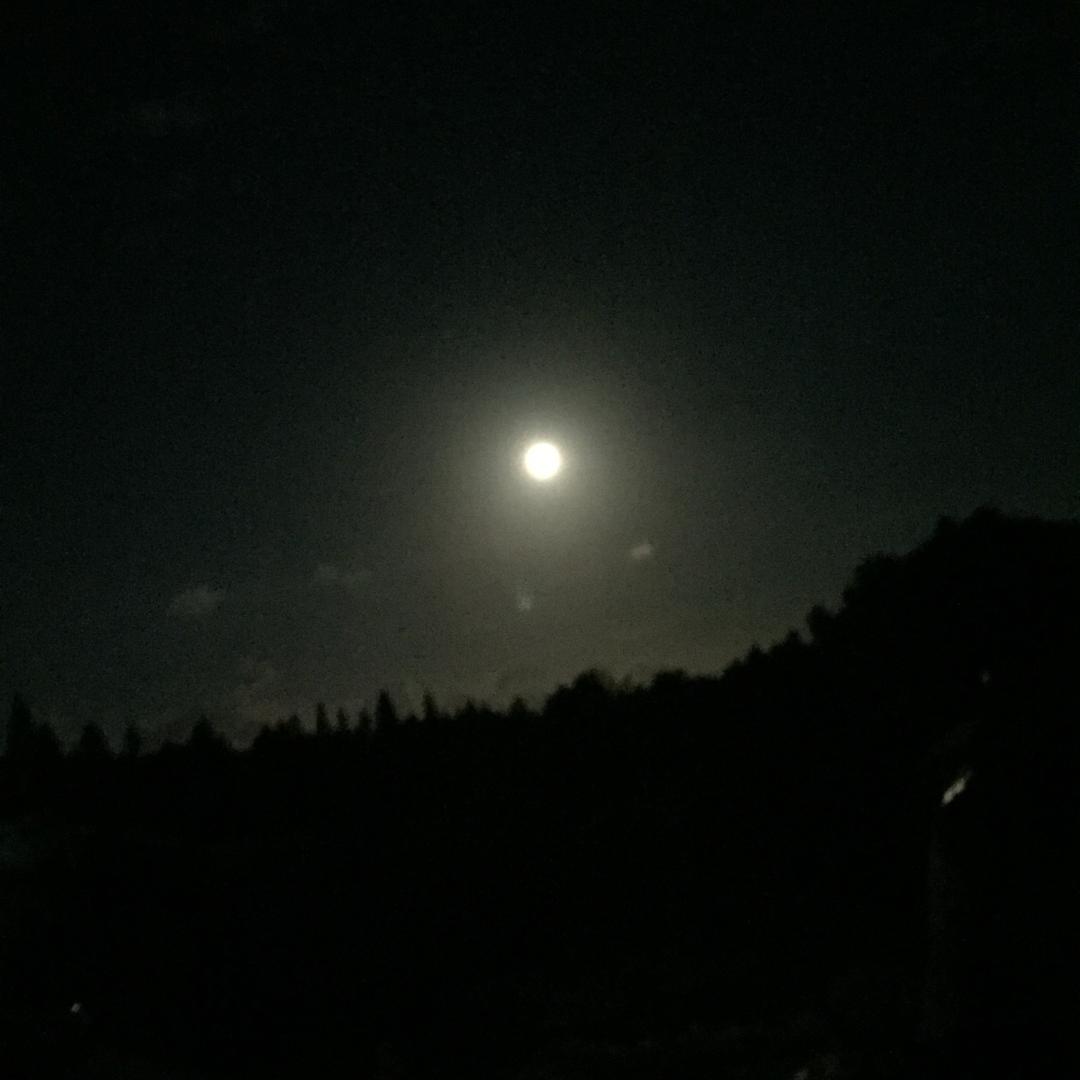 牛牛