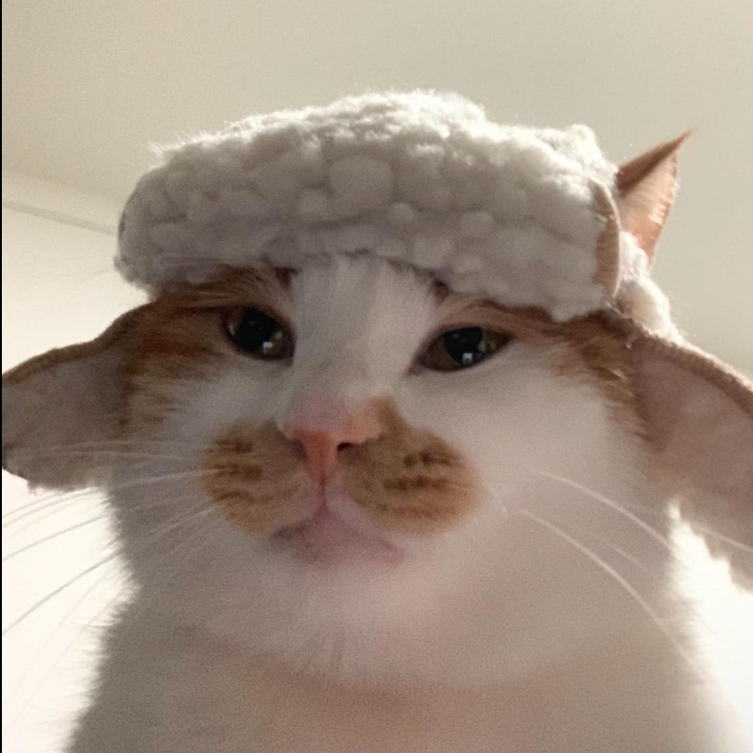 李亮亮亮亮亮亮亮亮👾