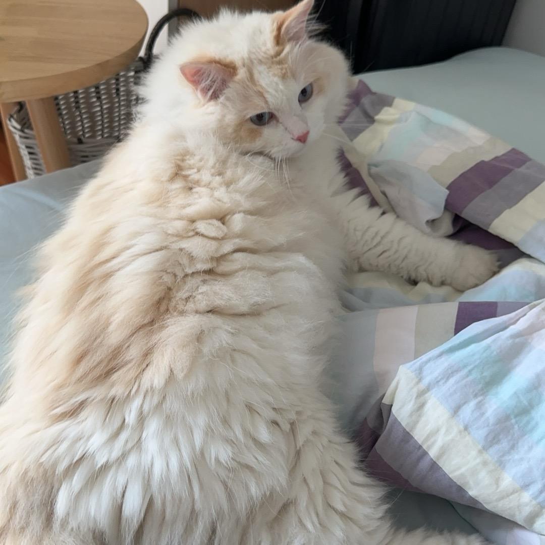 苏格拉底没有底