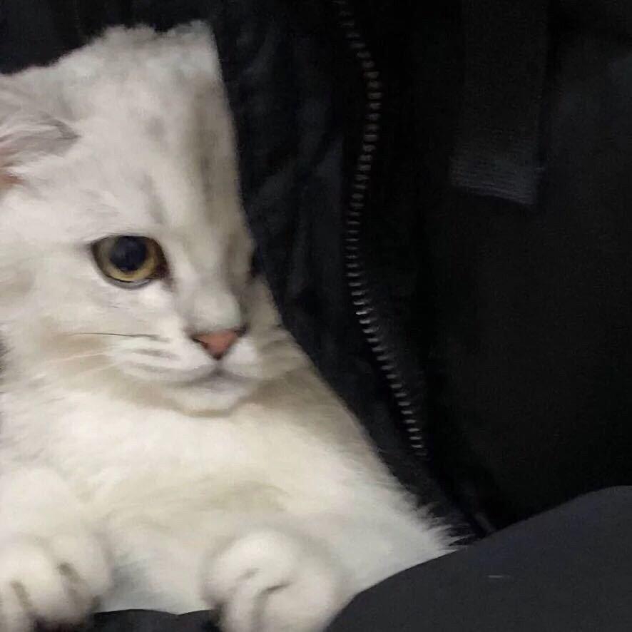 思念：