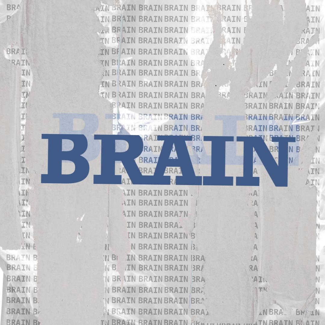 BRAIN·手作