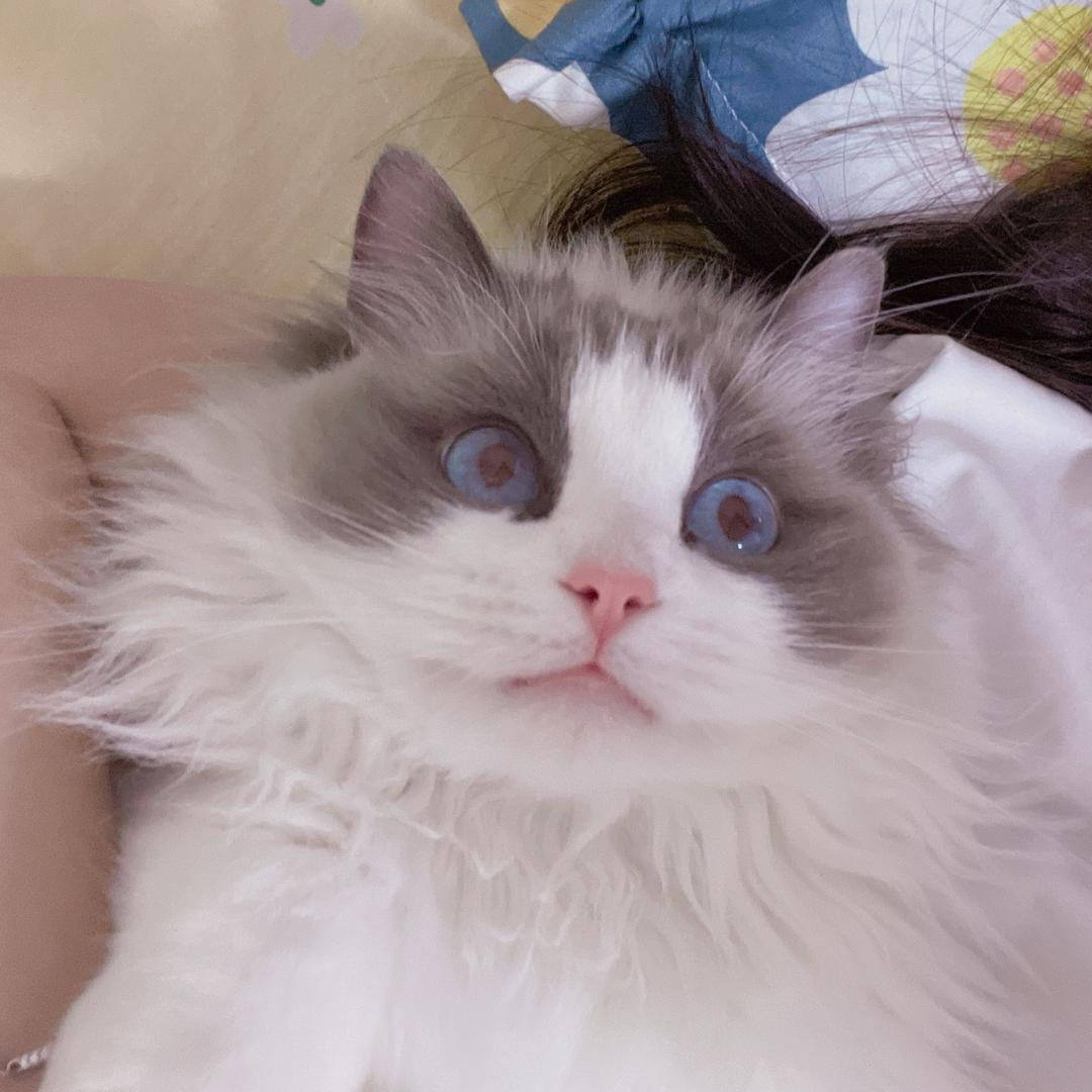 我是方小花