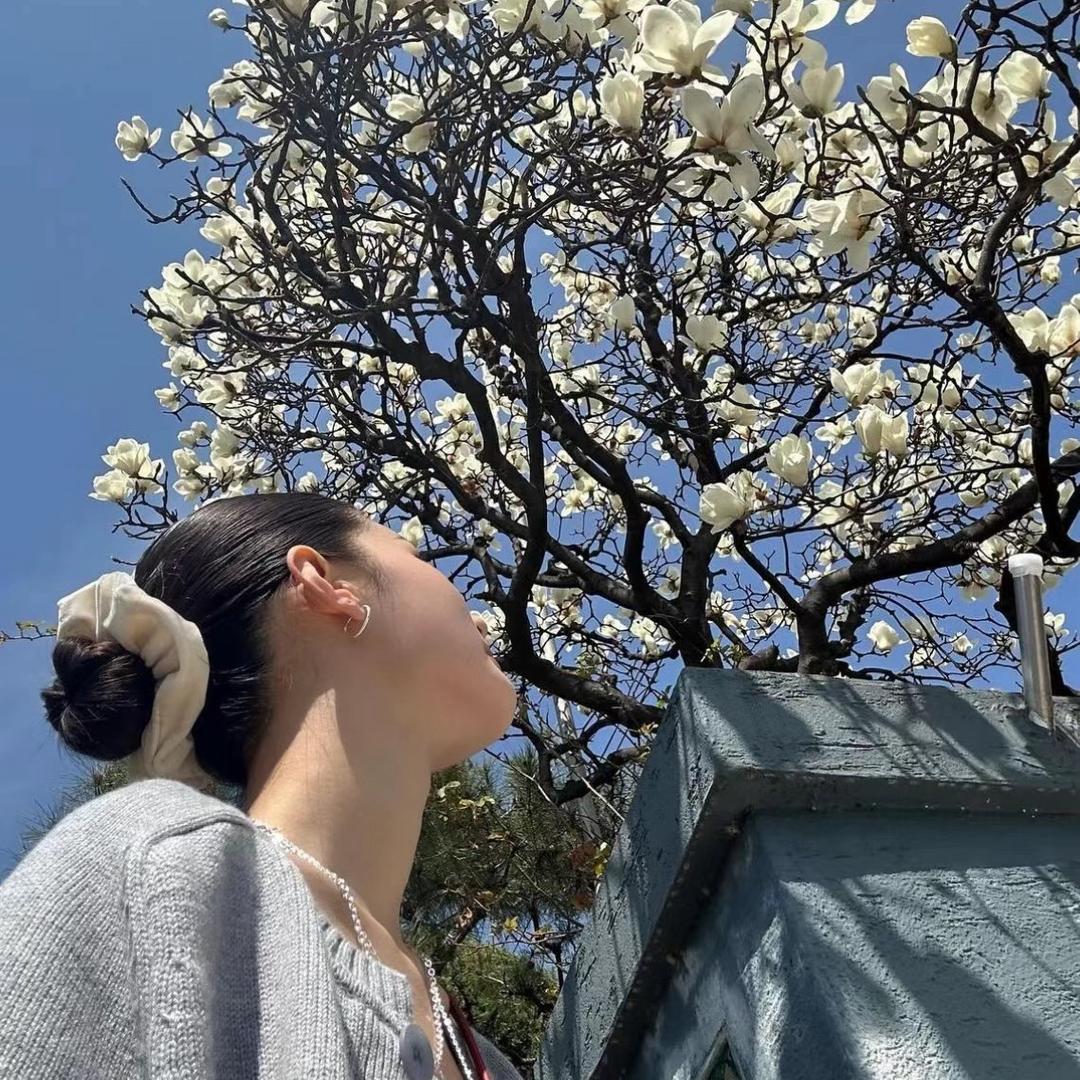 菲菲公主