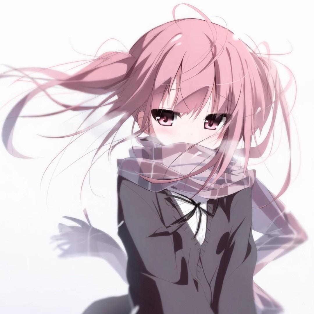芯酱