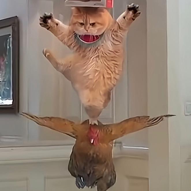 忧遇
