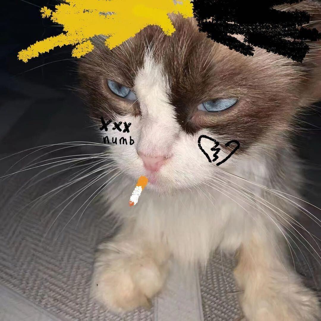 lilsun