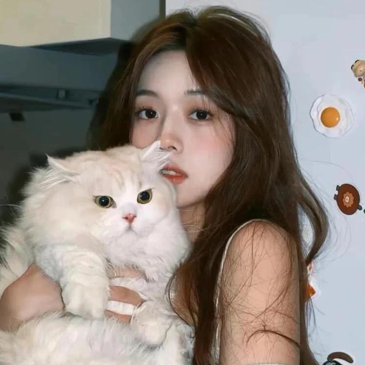 小懒猫