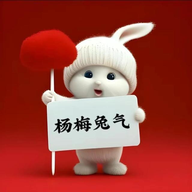 半多云女包