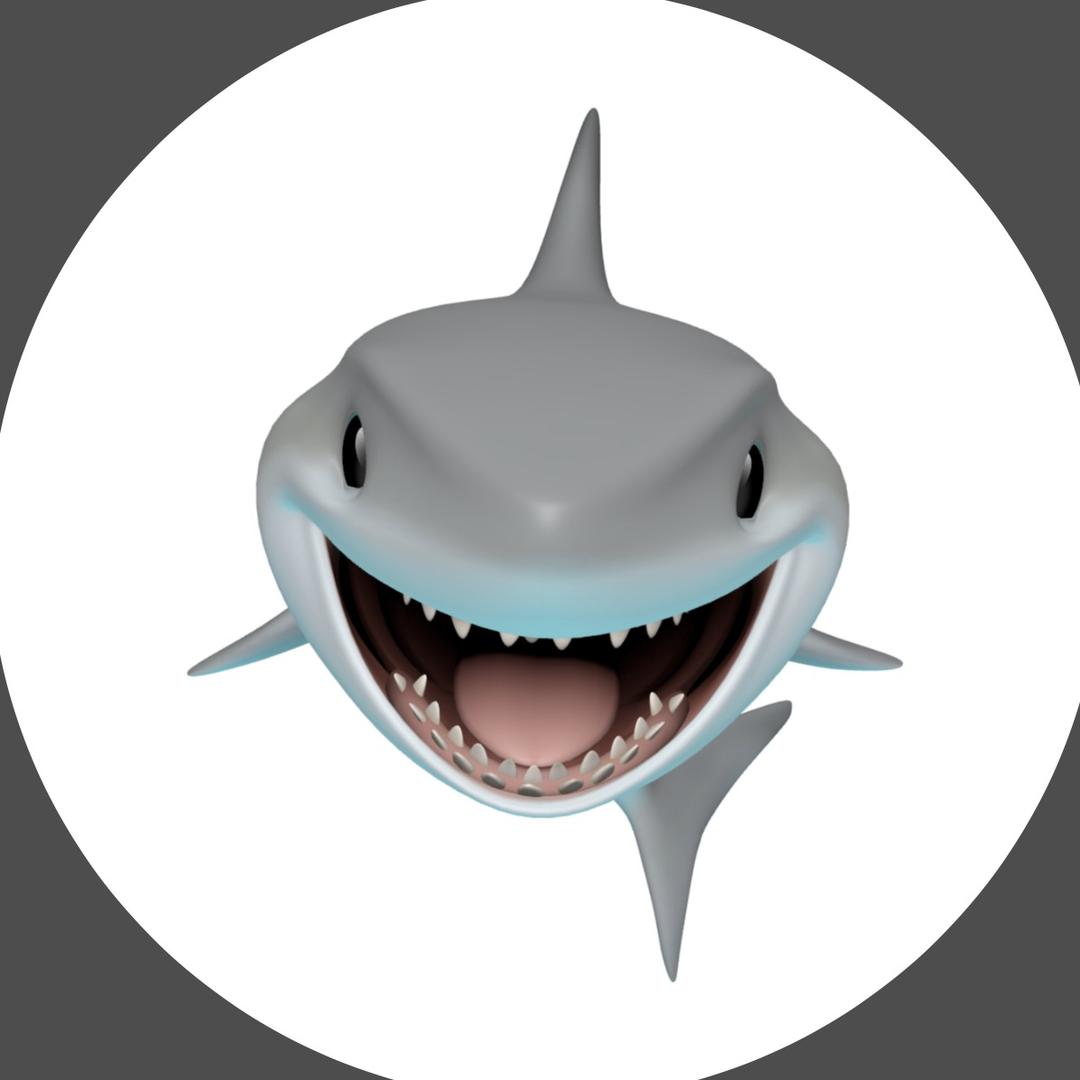 🦈🦈🦈