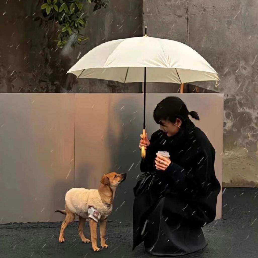 迷猴桃儿🥝