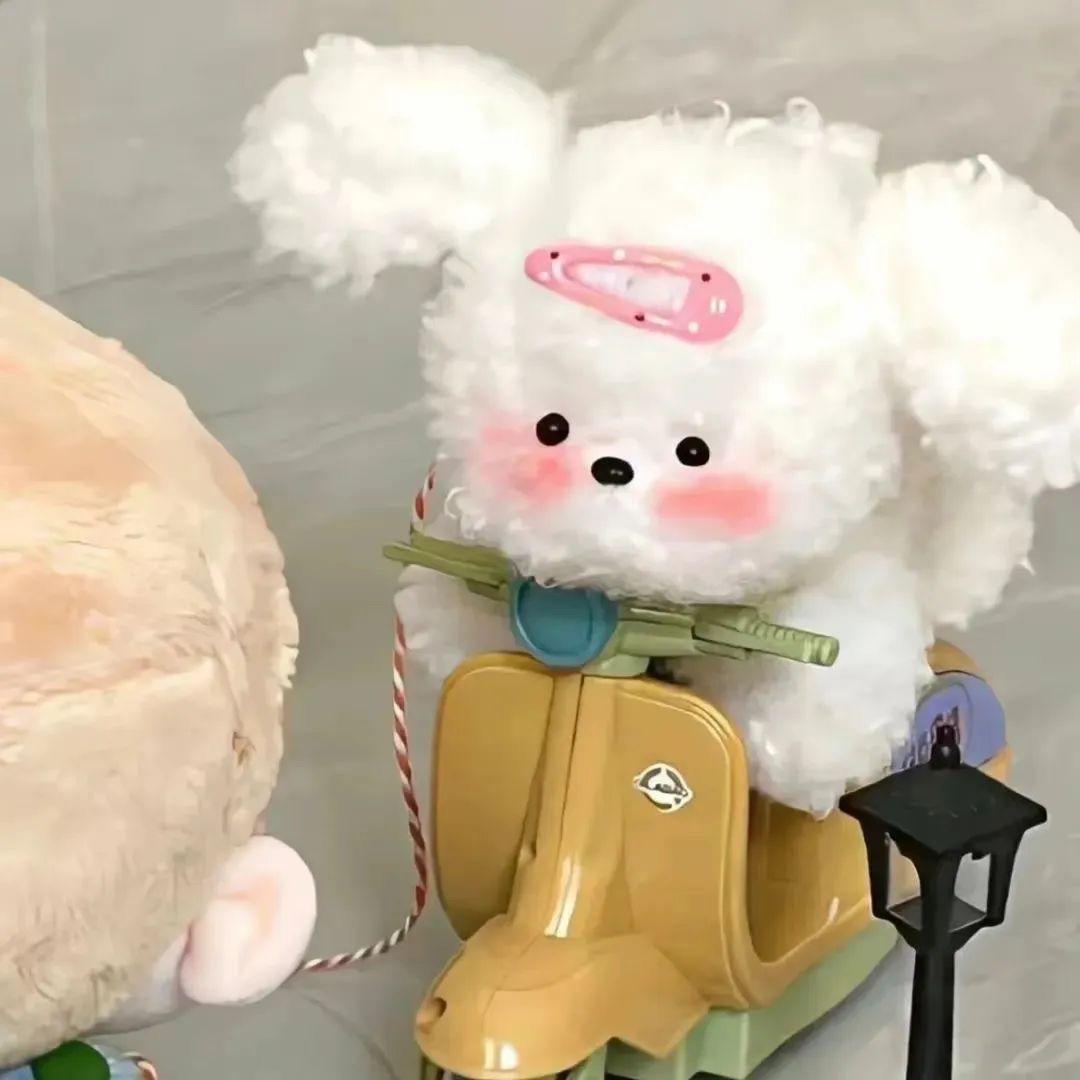 关你什么柿.🍅