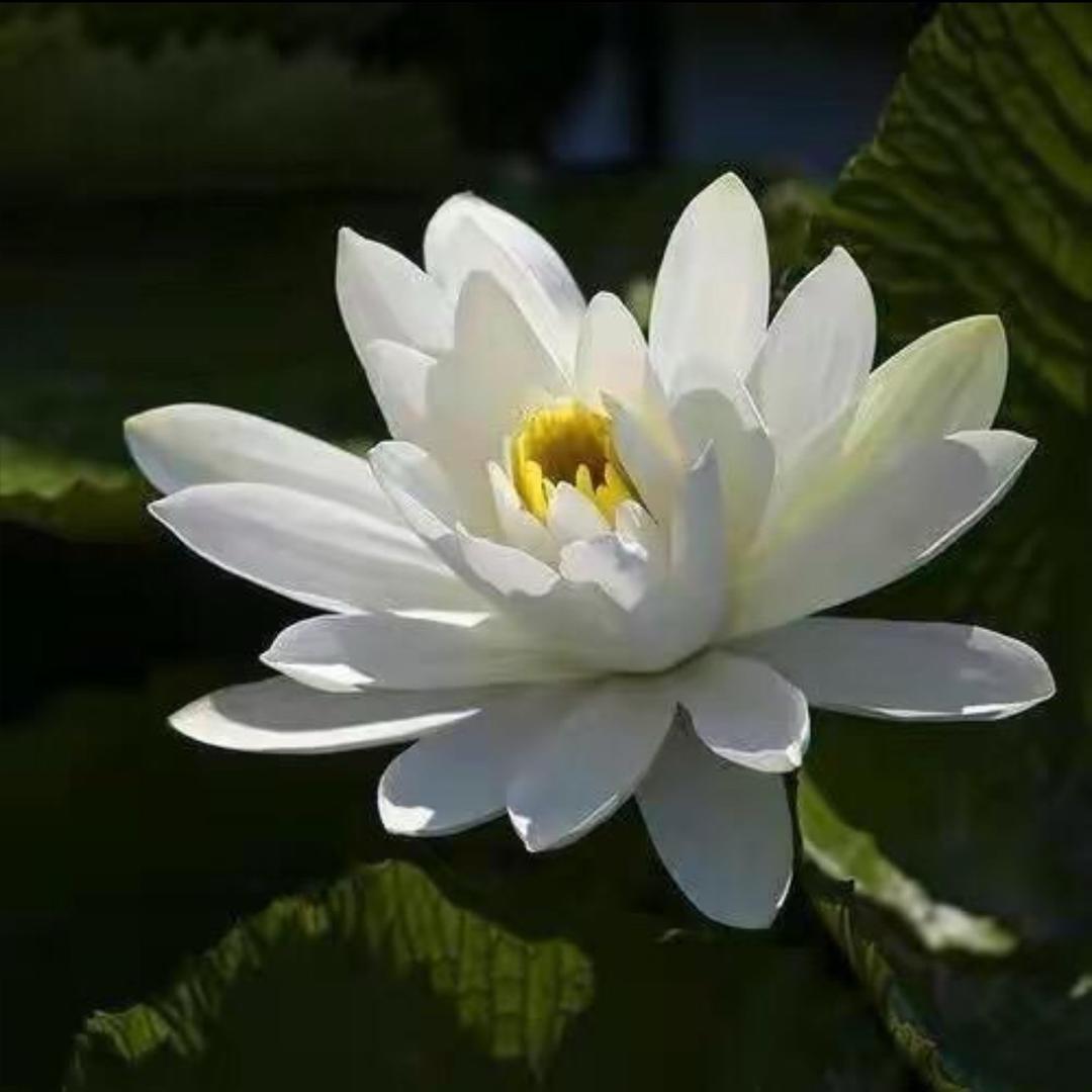 静心静老师