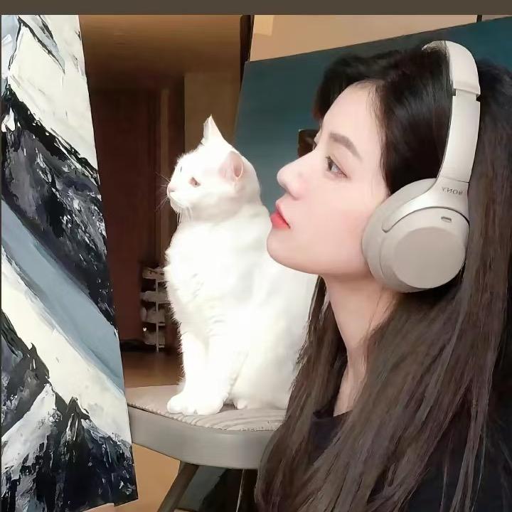 ゝ 绛橘色的日落