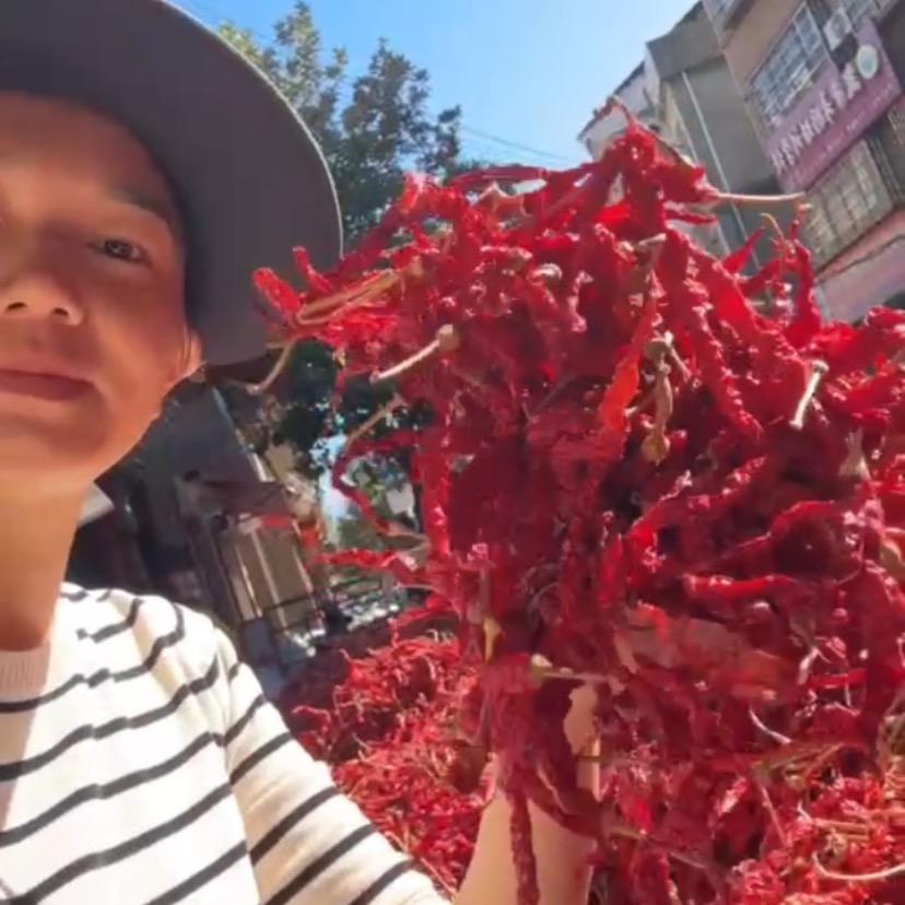 老毛干辣椒批发