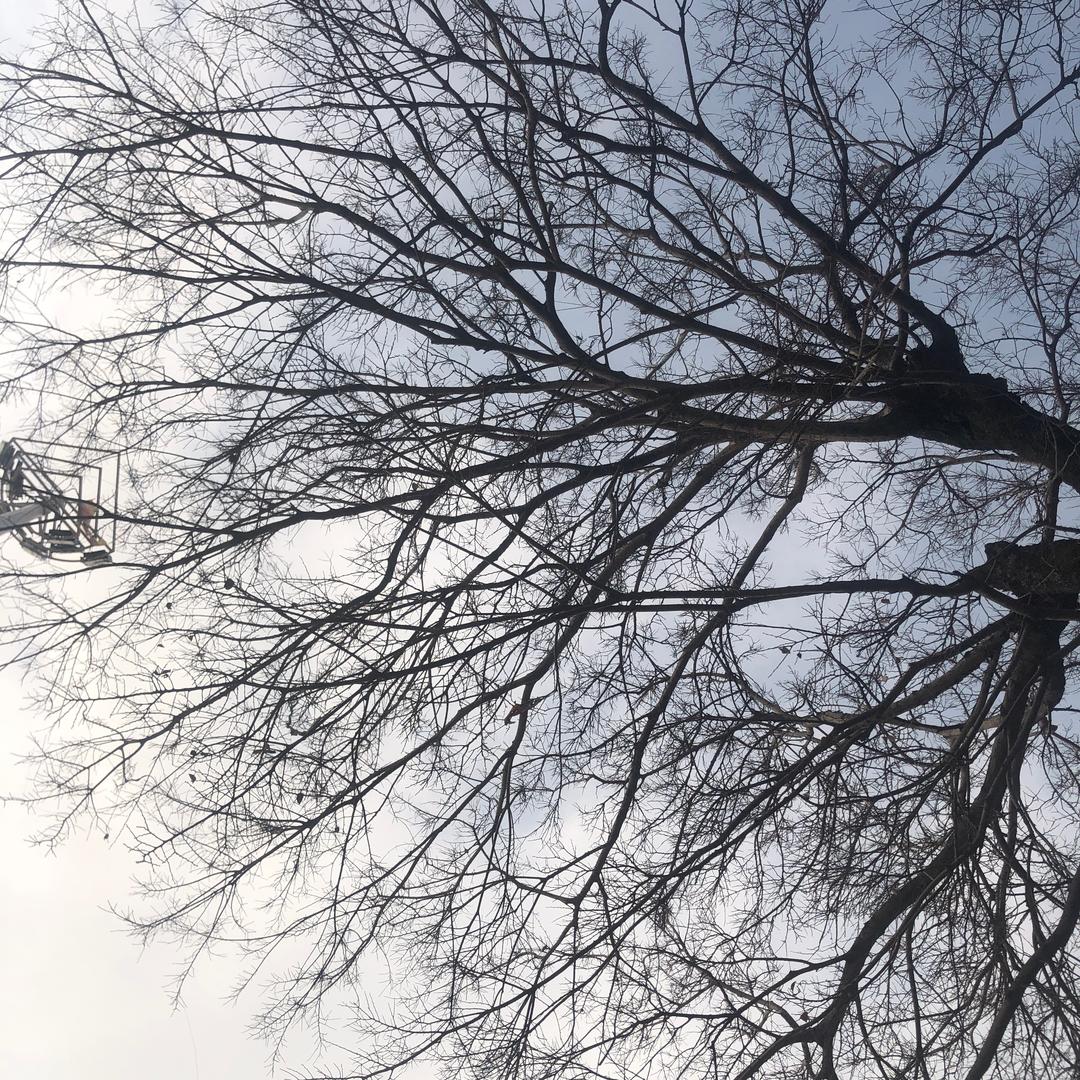 漂洋过海来看你