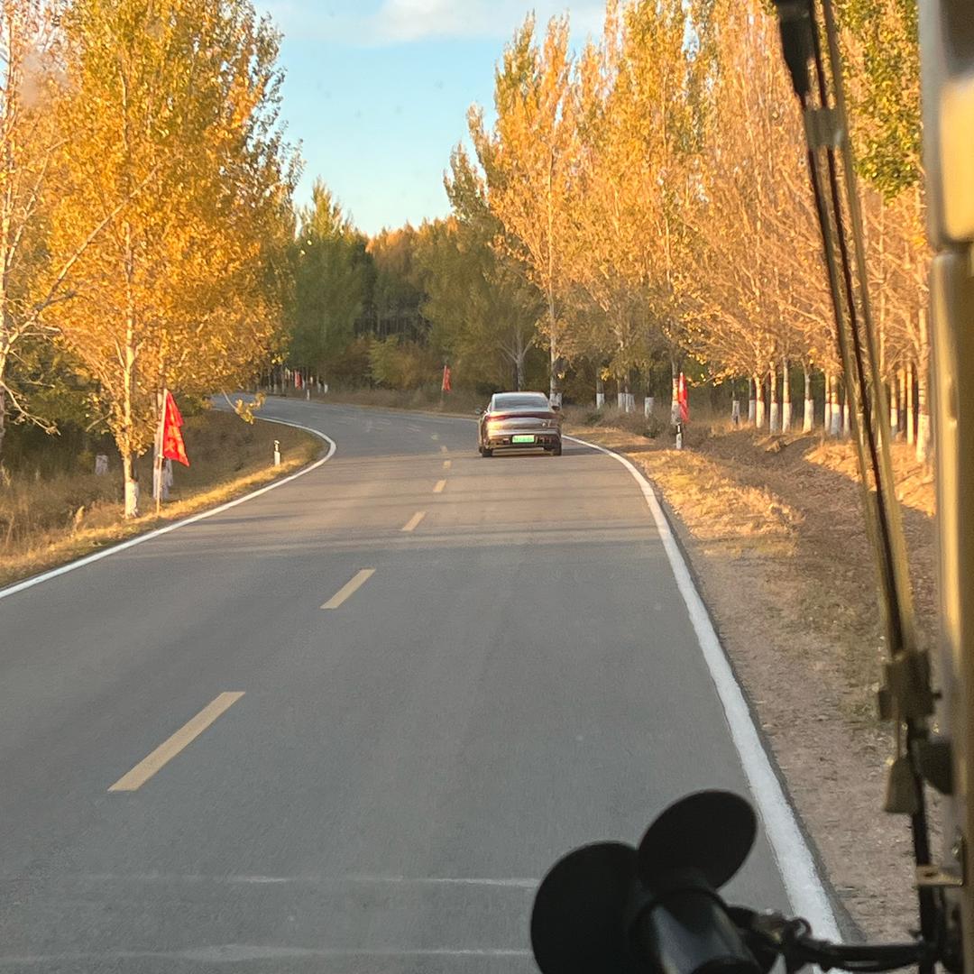 应如是
