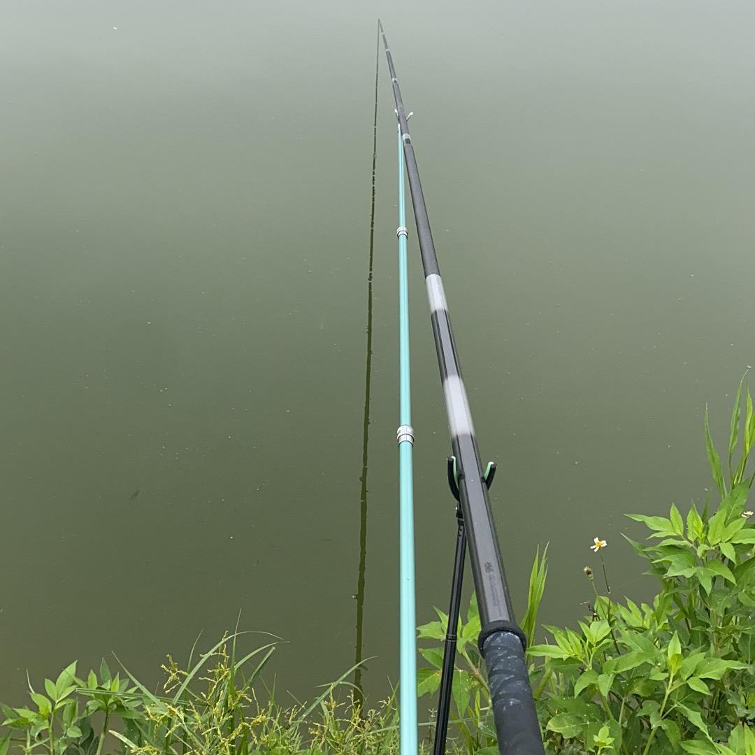 张力(爱钓鱼🎣)