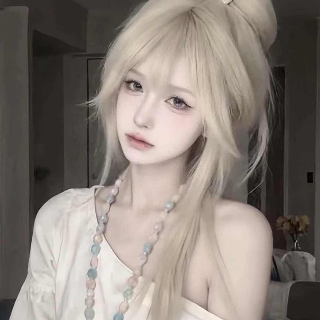 房东的猫（西安租凭服务）