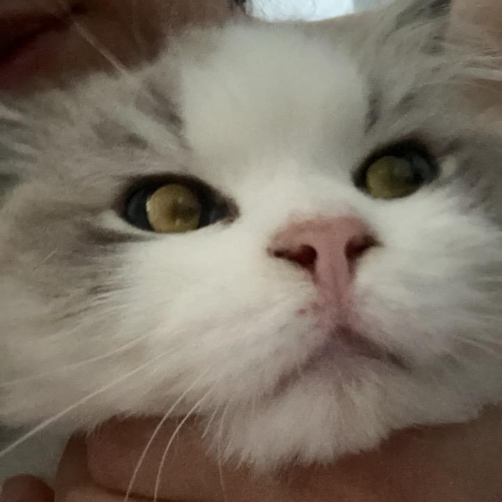 毛毛🫶🏻