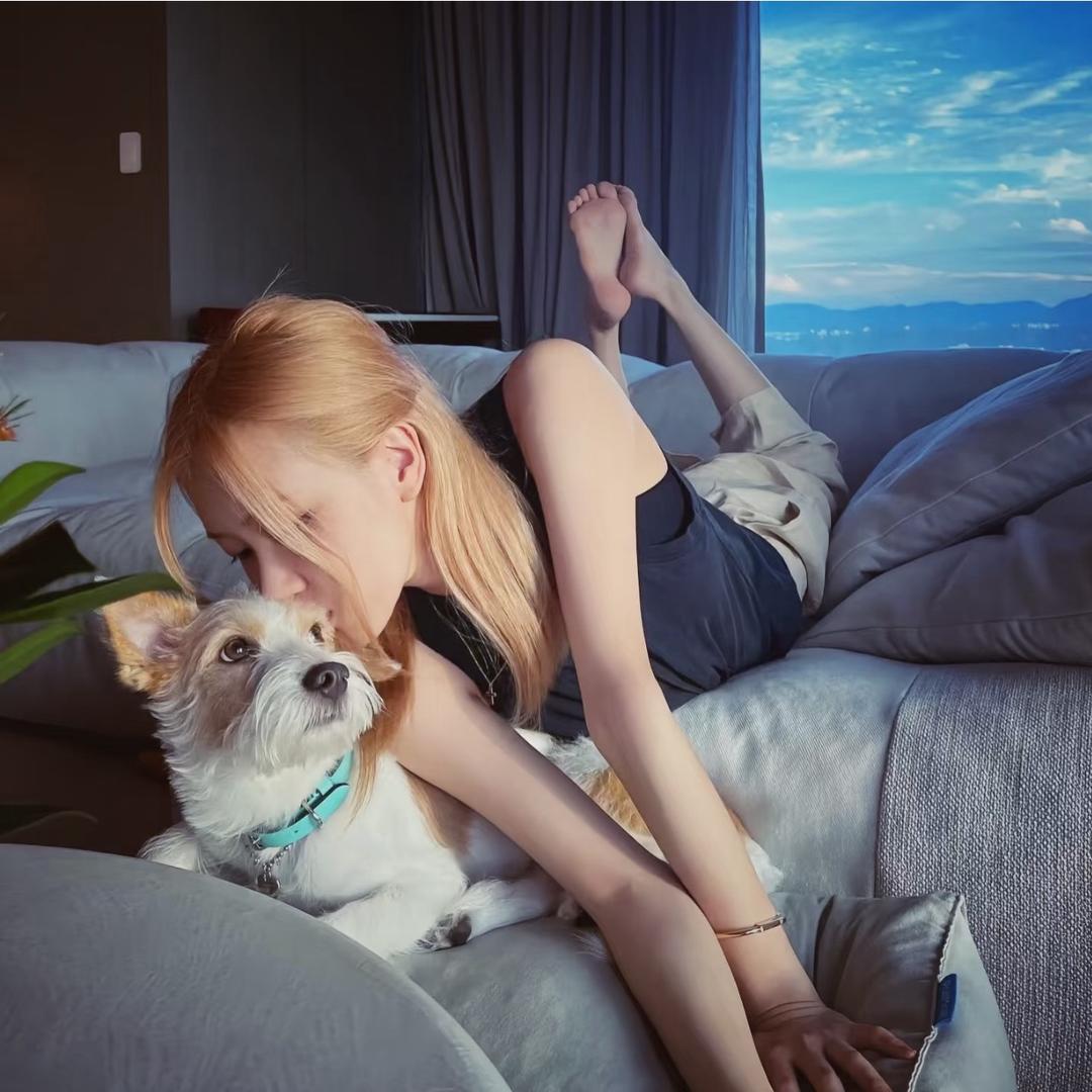 小猫不流泪