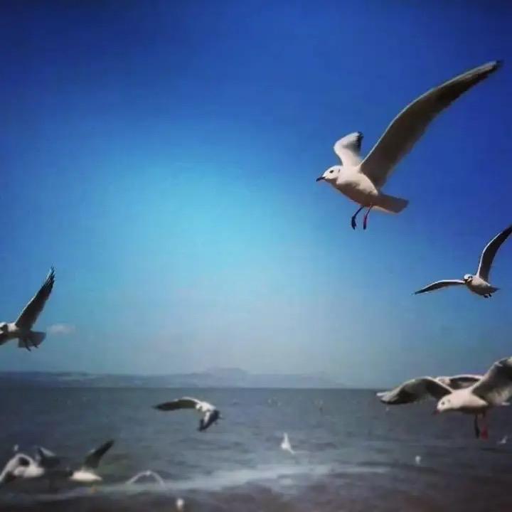 森炎优选