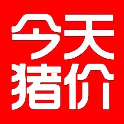 生猪报价