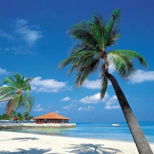 海南指导郑老师