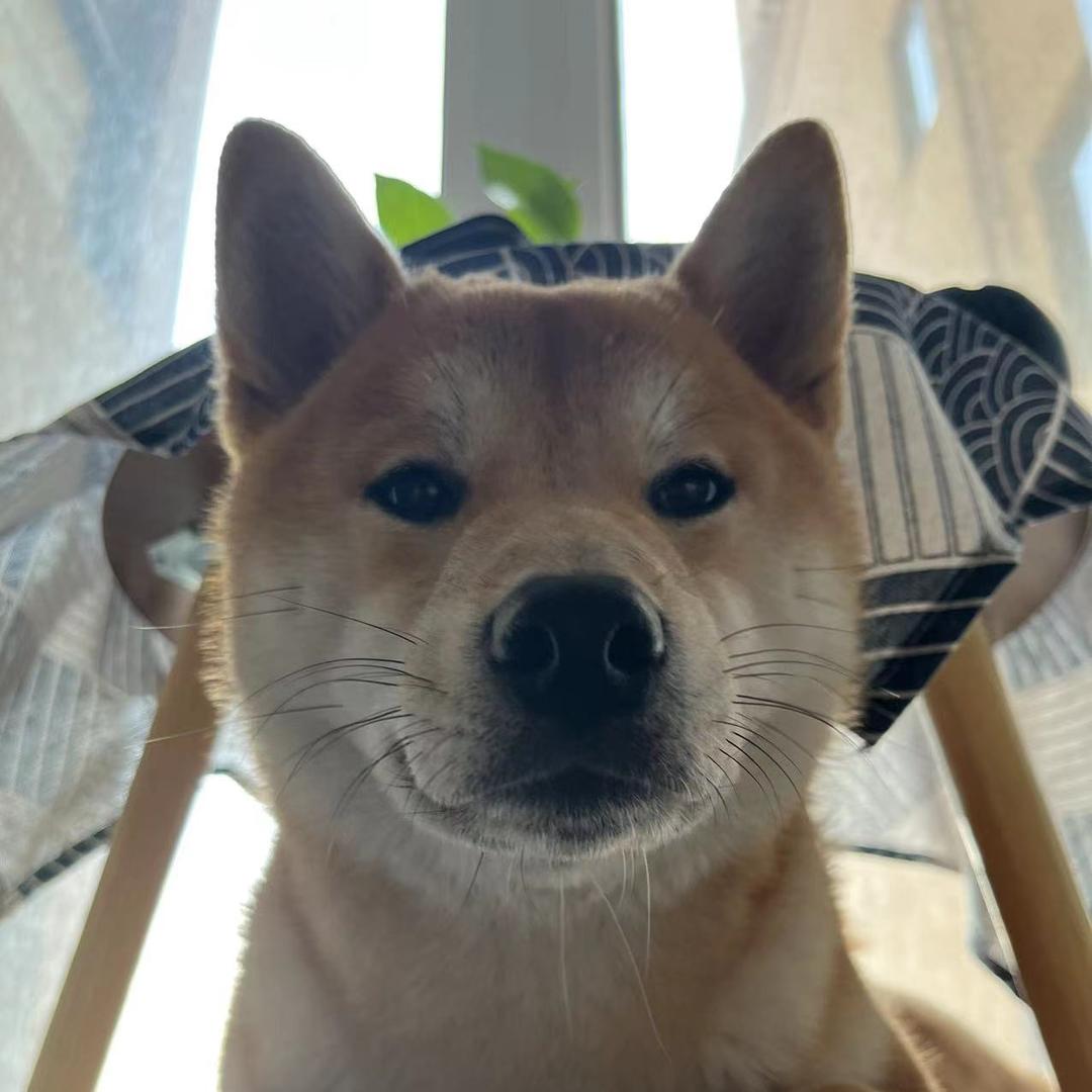 滚滚