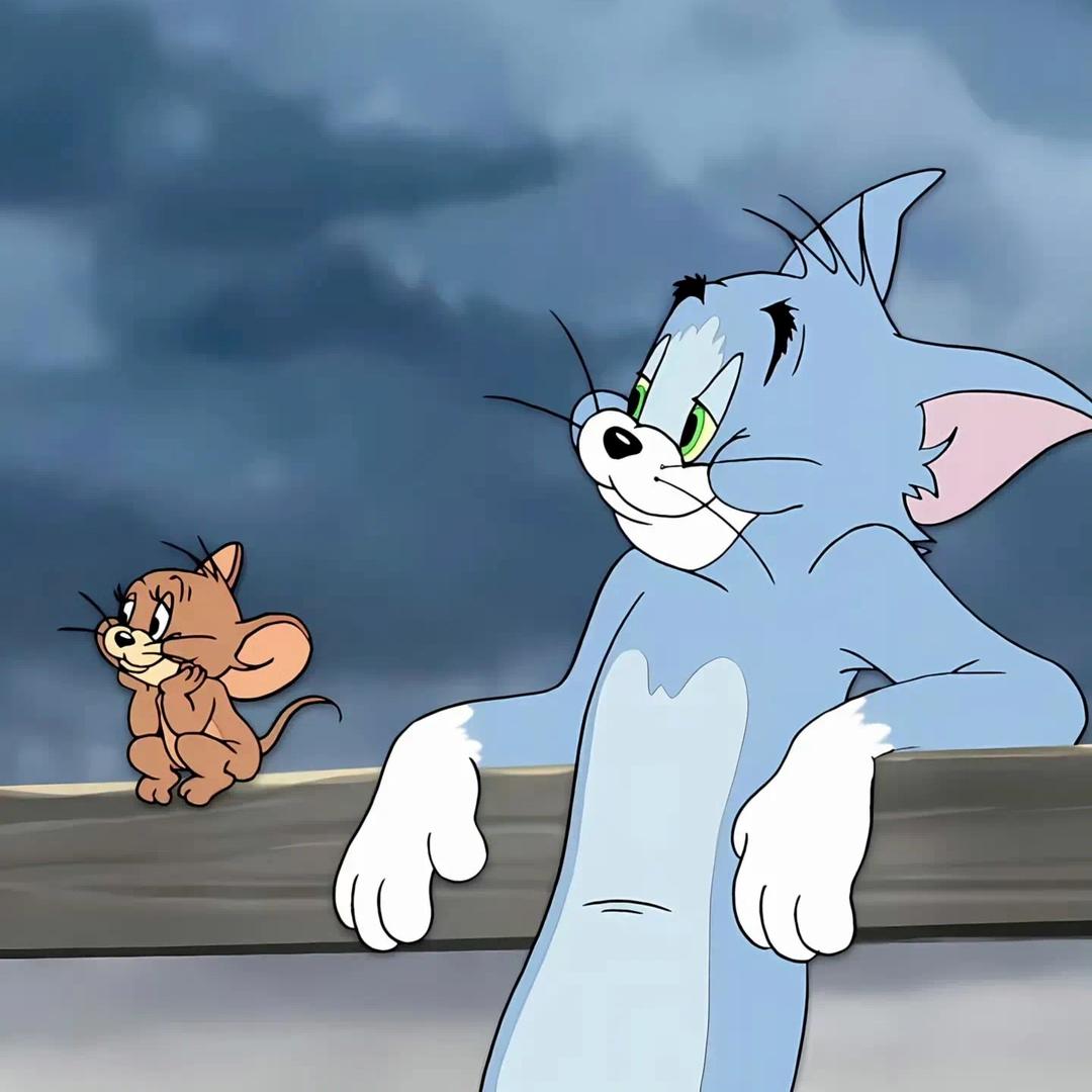 小小周困了💤.