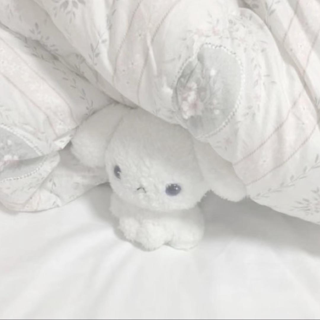 诉意.