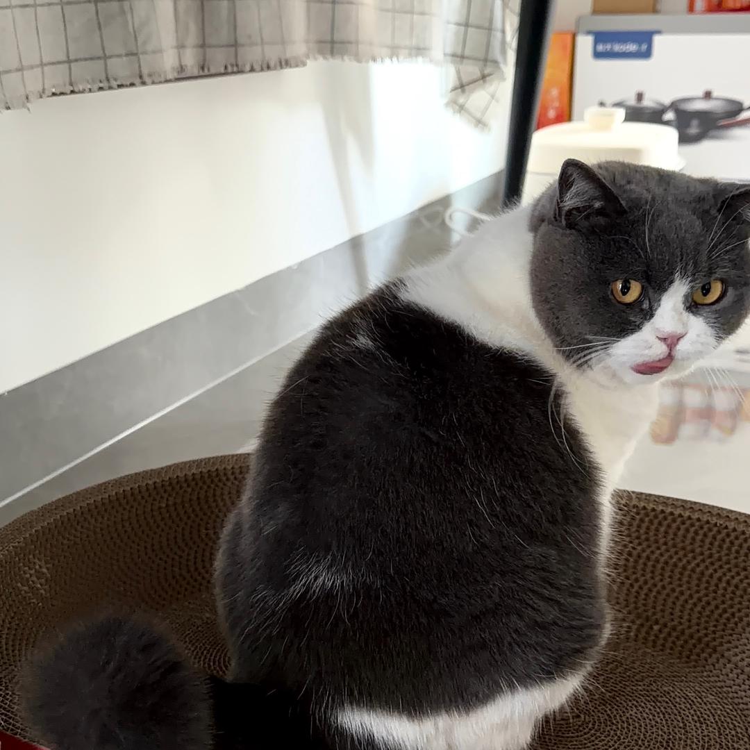 oi…想念大大怪将军的小小怪下士