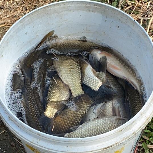 皮蛋超人探钓沂河