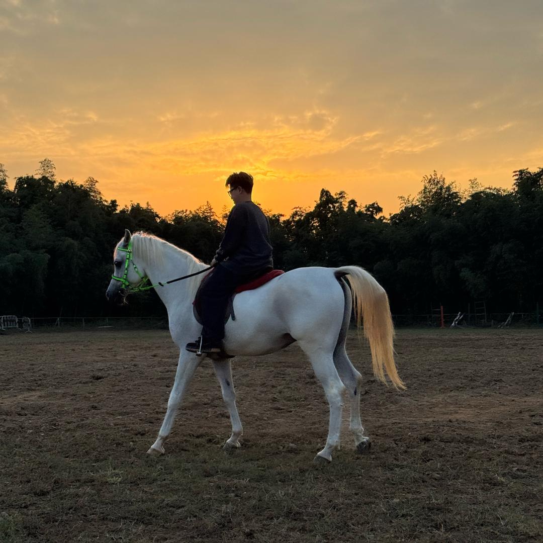 Hh犬舍主理人 买🐶私聊