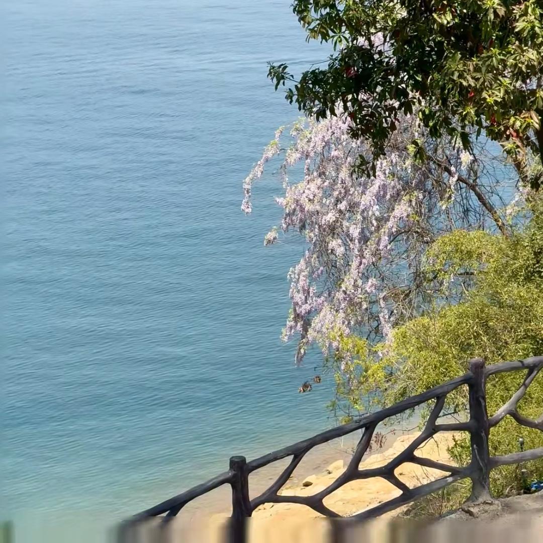 大杨觉醒之旅✨