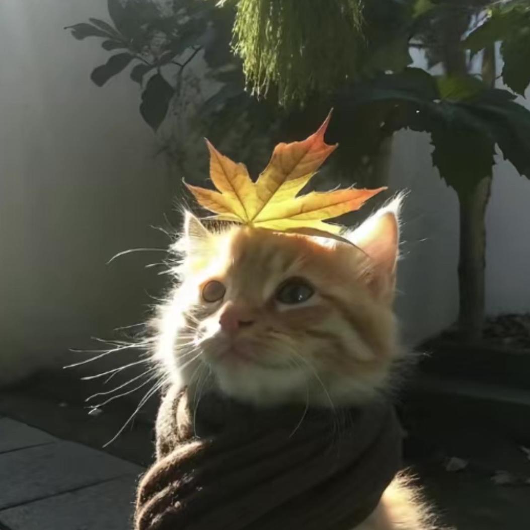 云端软膜灯箱厂