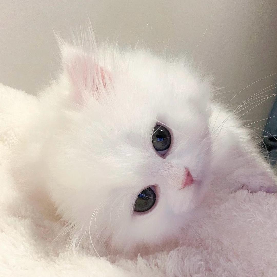 唯