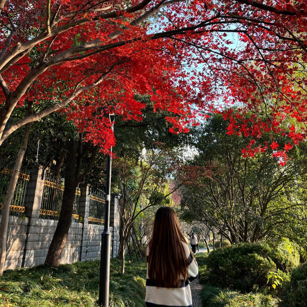 Mysr🤦🏼‍♀️