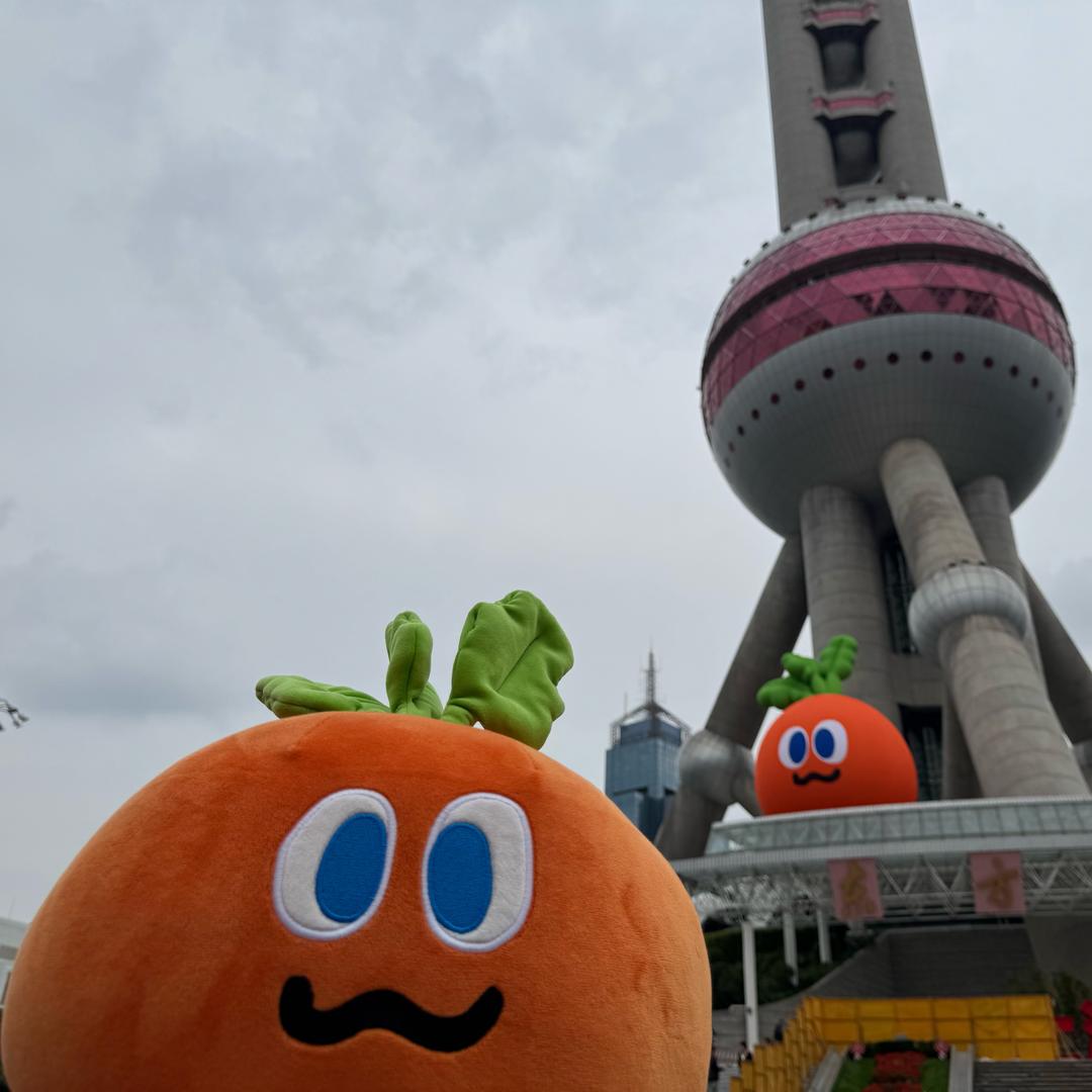 包包小红手