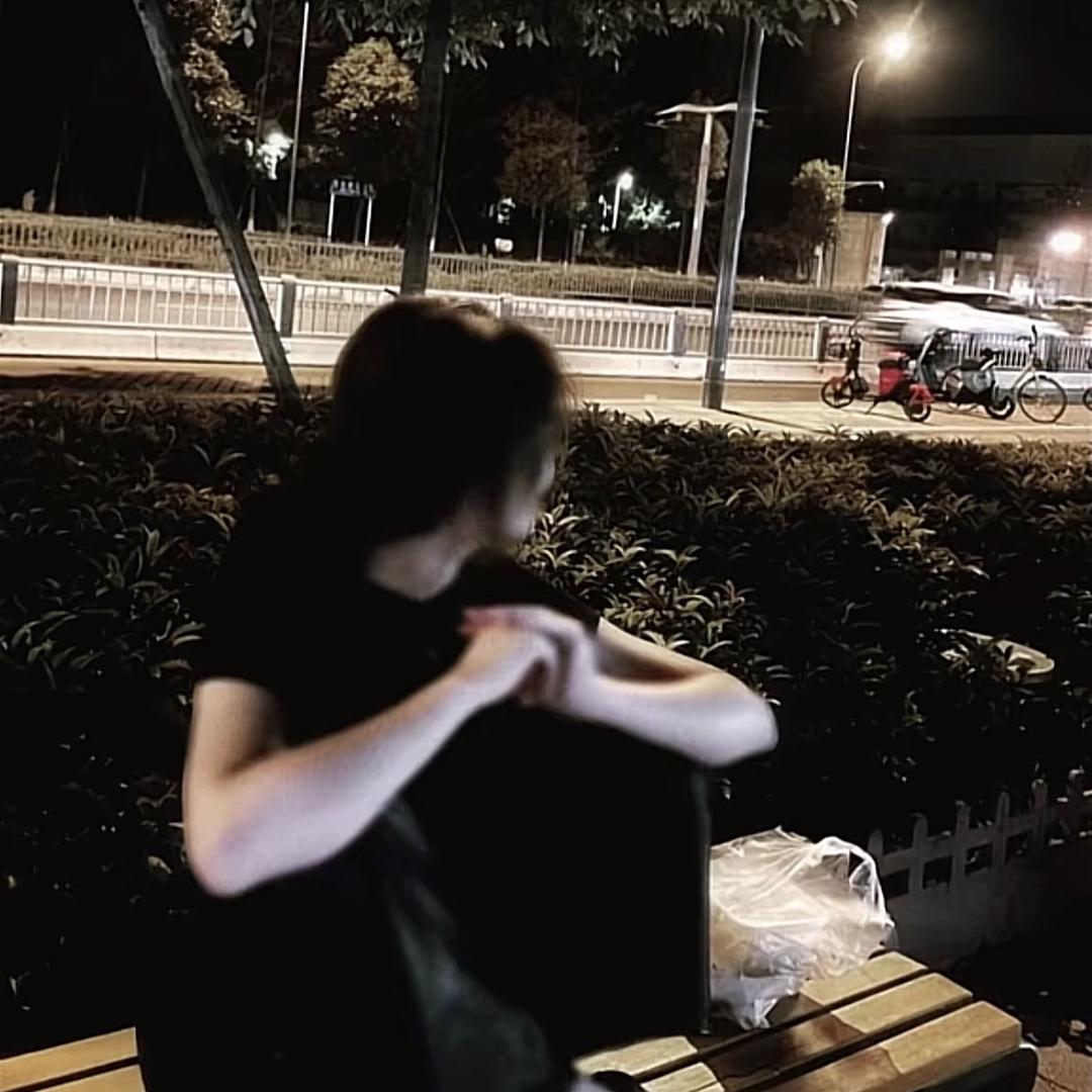 石墨小趴菜