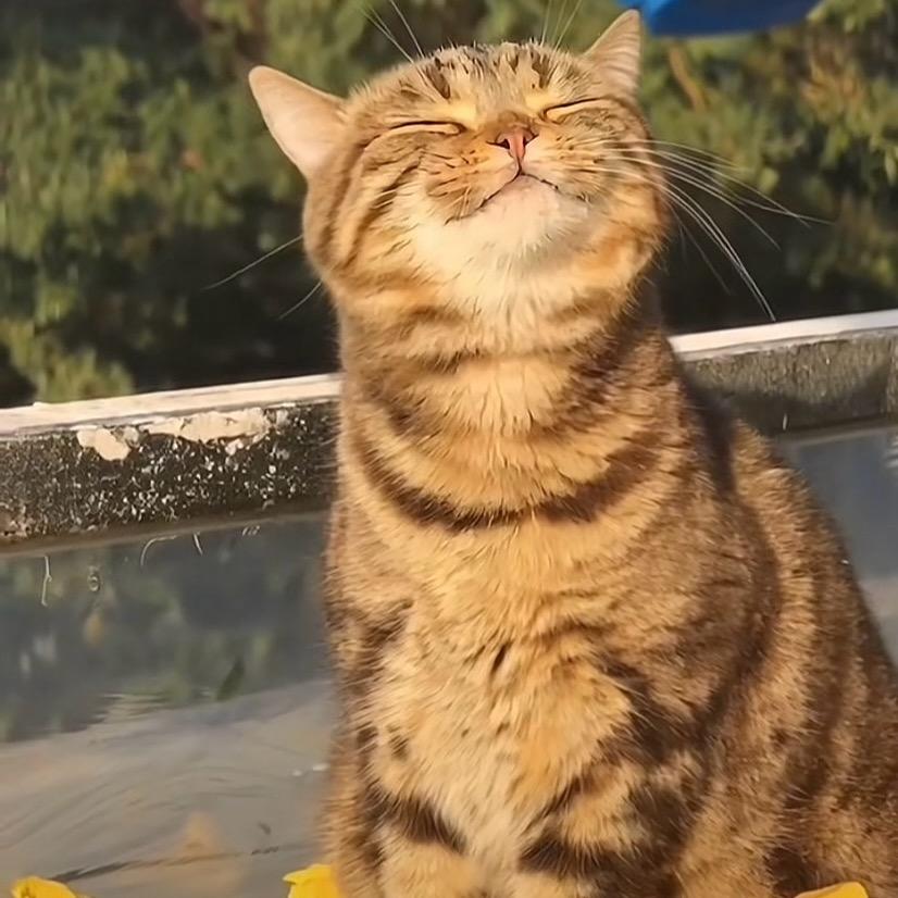 一二