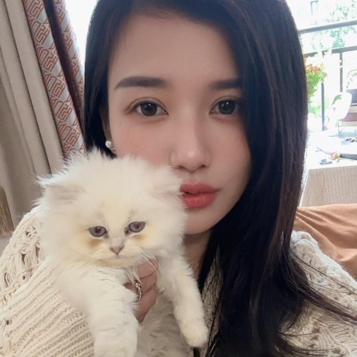 候鸟•南飞