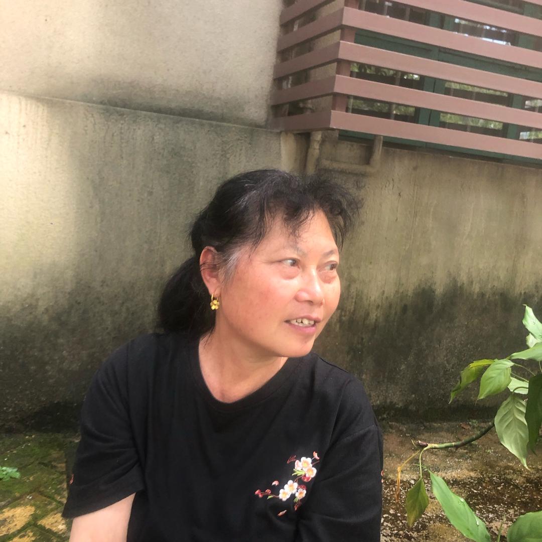 杨12.