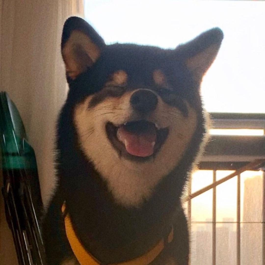 牙牙ovo