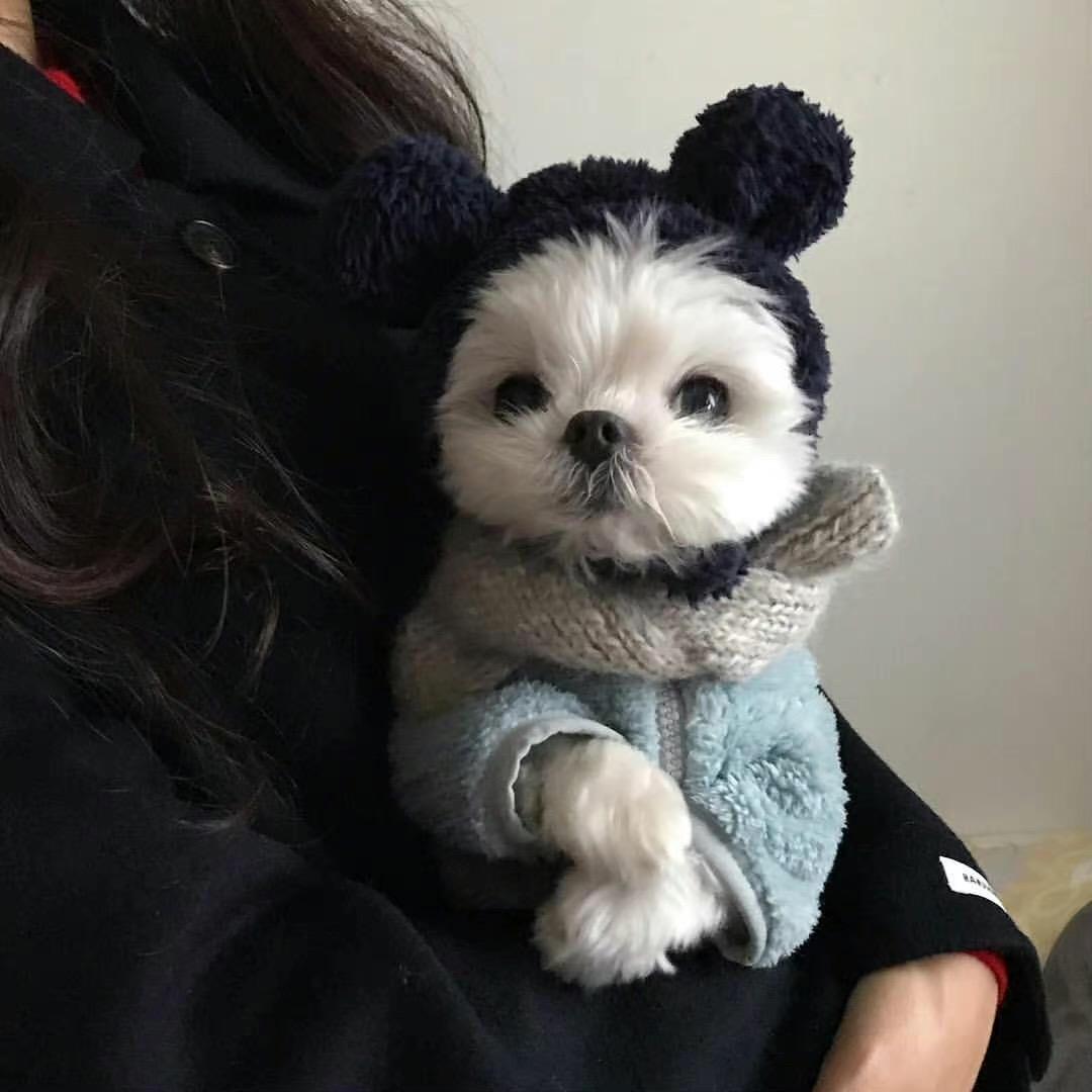 土土I