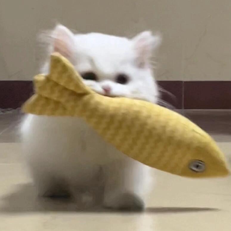 🌙🌙头像