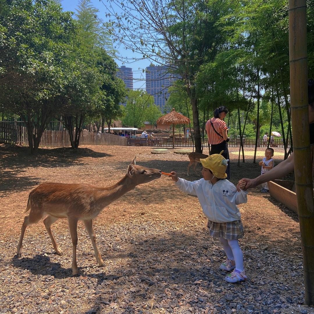 爱笑的大豆